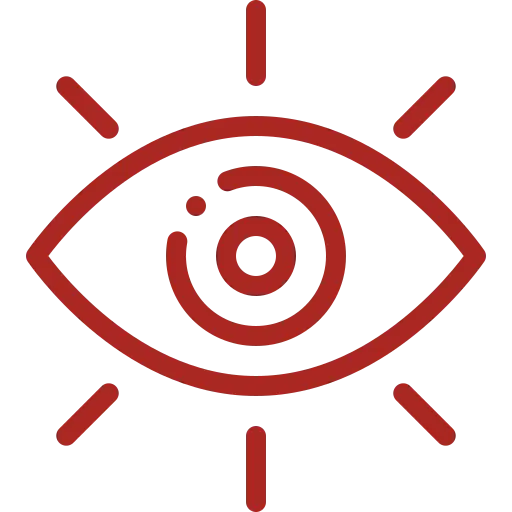 Our Vision - Govindaraju Astrologer